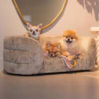 Lezen Sohome Reviews